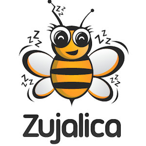 children playroom zujalica logo